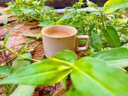 Samarth Atc-Beach Home Stay Ratnāgiri Zewnętrze zdjęcie